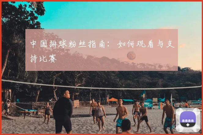 中国排球粉丝指南：如何观看与支持比赛