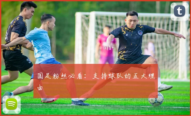 国足粉丝必看：支持球队的五大理由