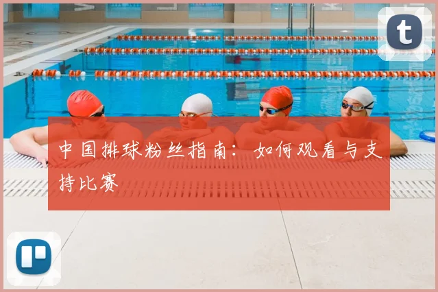 中国排球粉丝指南：如何观看与支持比赛