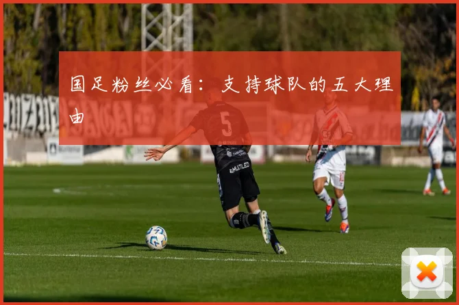 国足粉丝必看：支持球队的五大理由